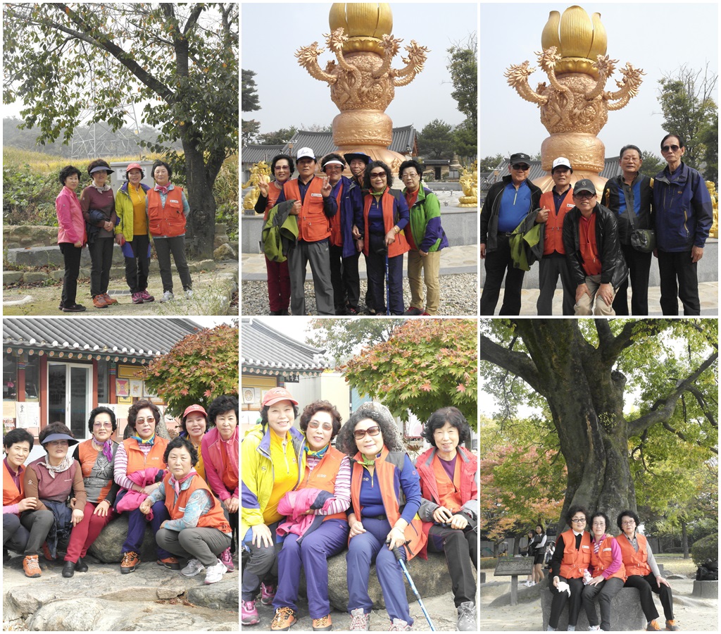 2015�� ���� ���������� ����