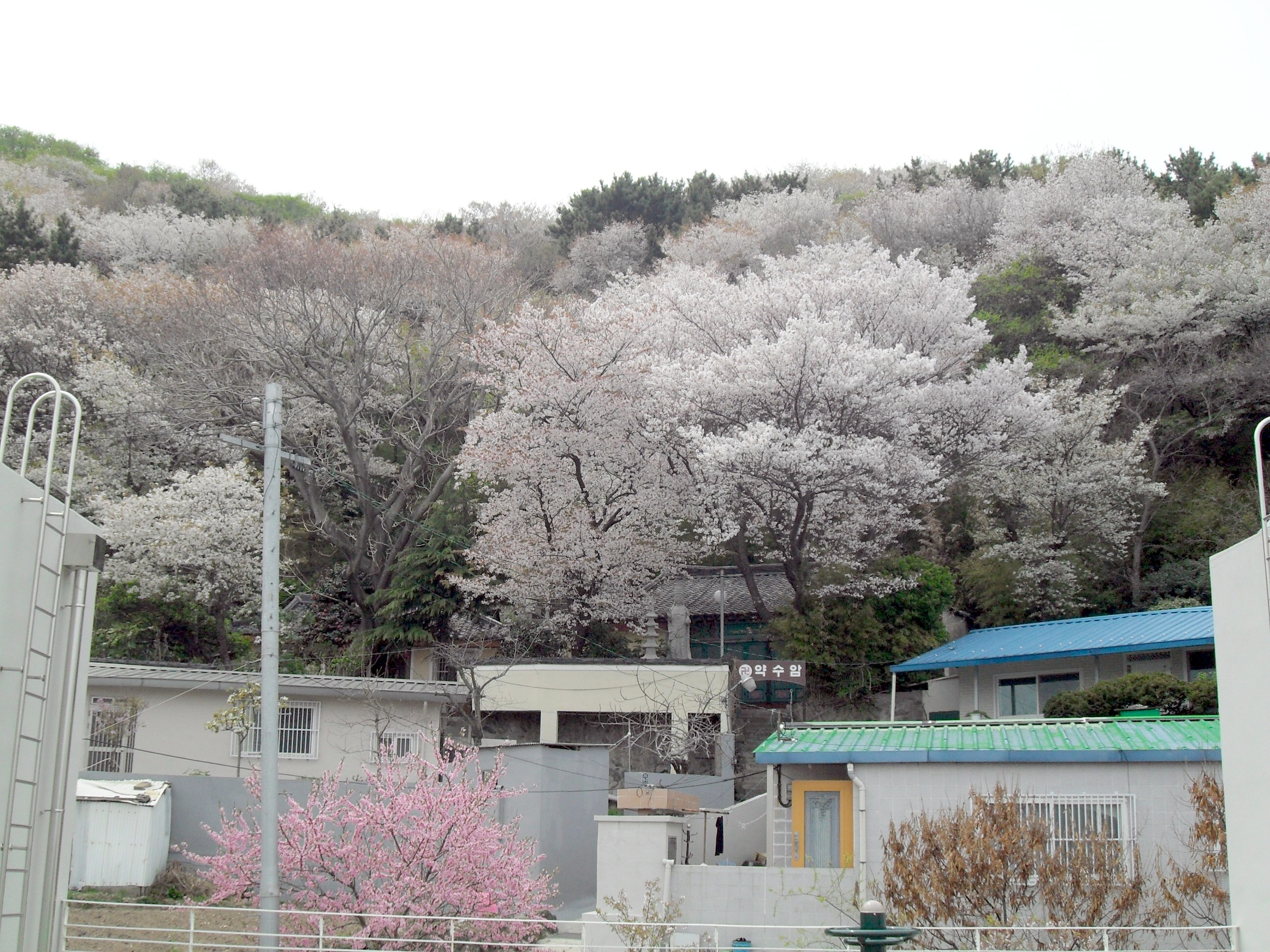 ���������� �� ǳ��