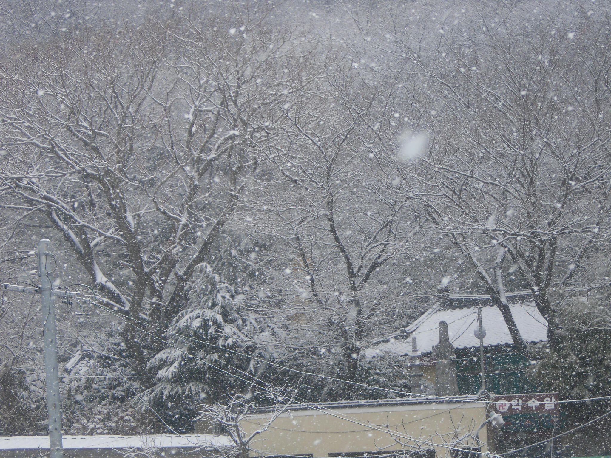 �� ���� ��