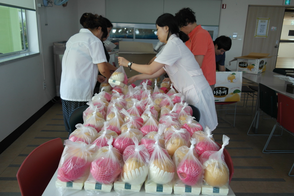 �߼����� �ع��� ���� ����