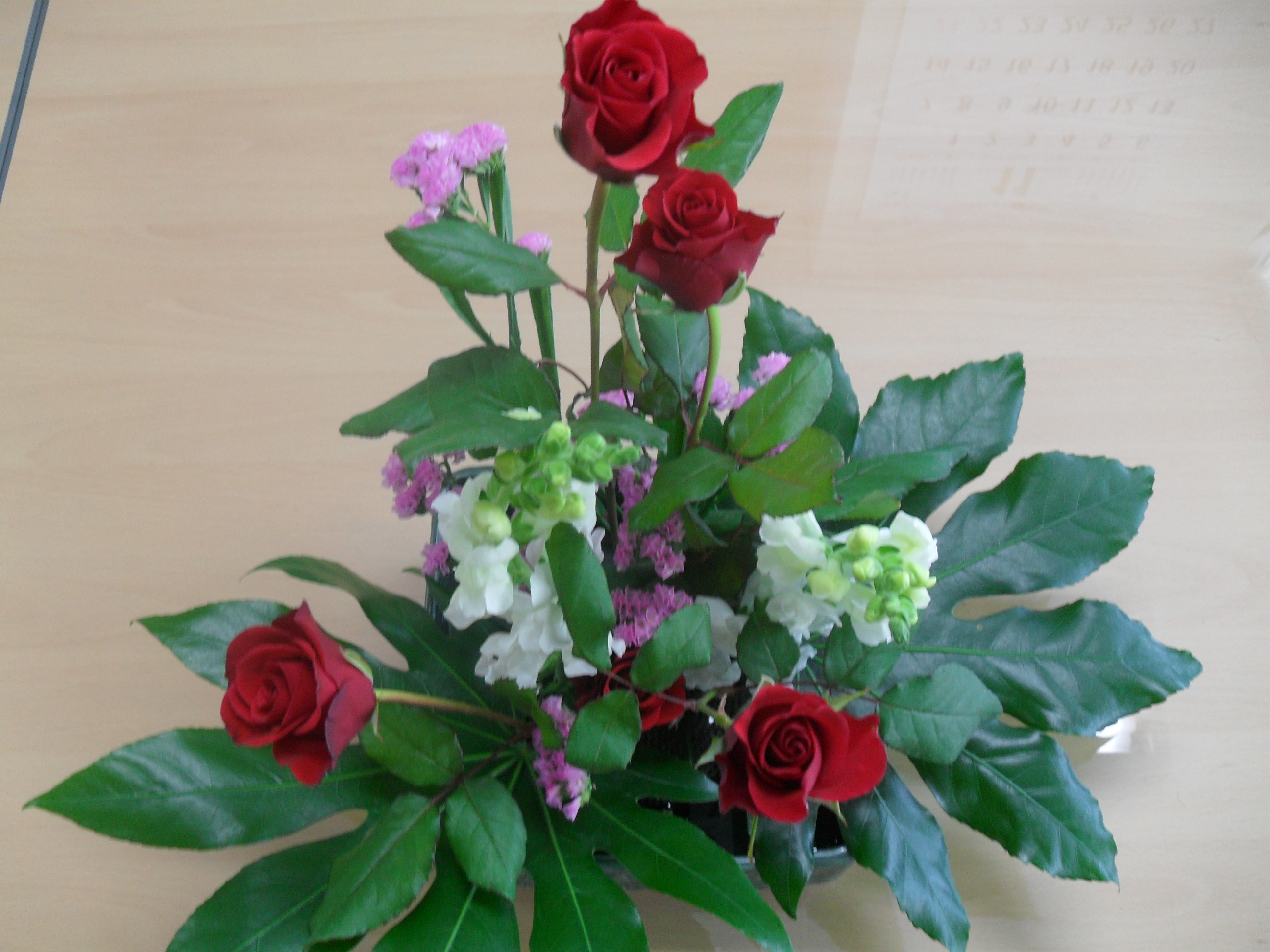 ����Ȱ����ǰ