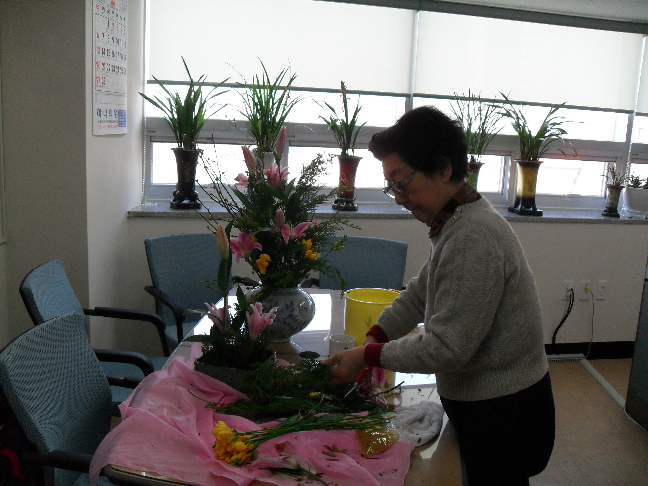 �ɲ��� �ڿ�����