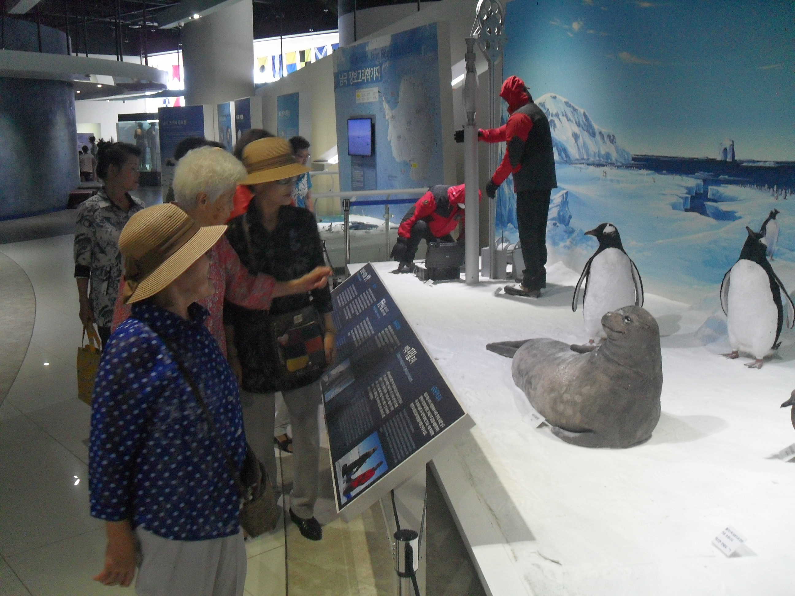 ��δ�Ȱ��ȭ ���- �߿� ������