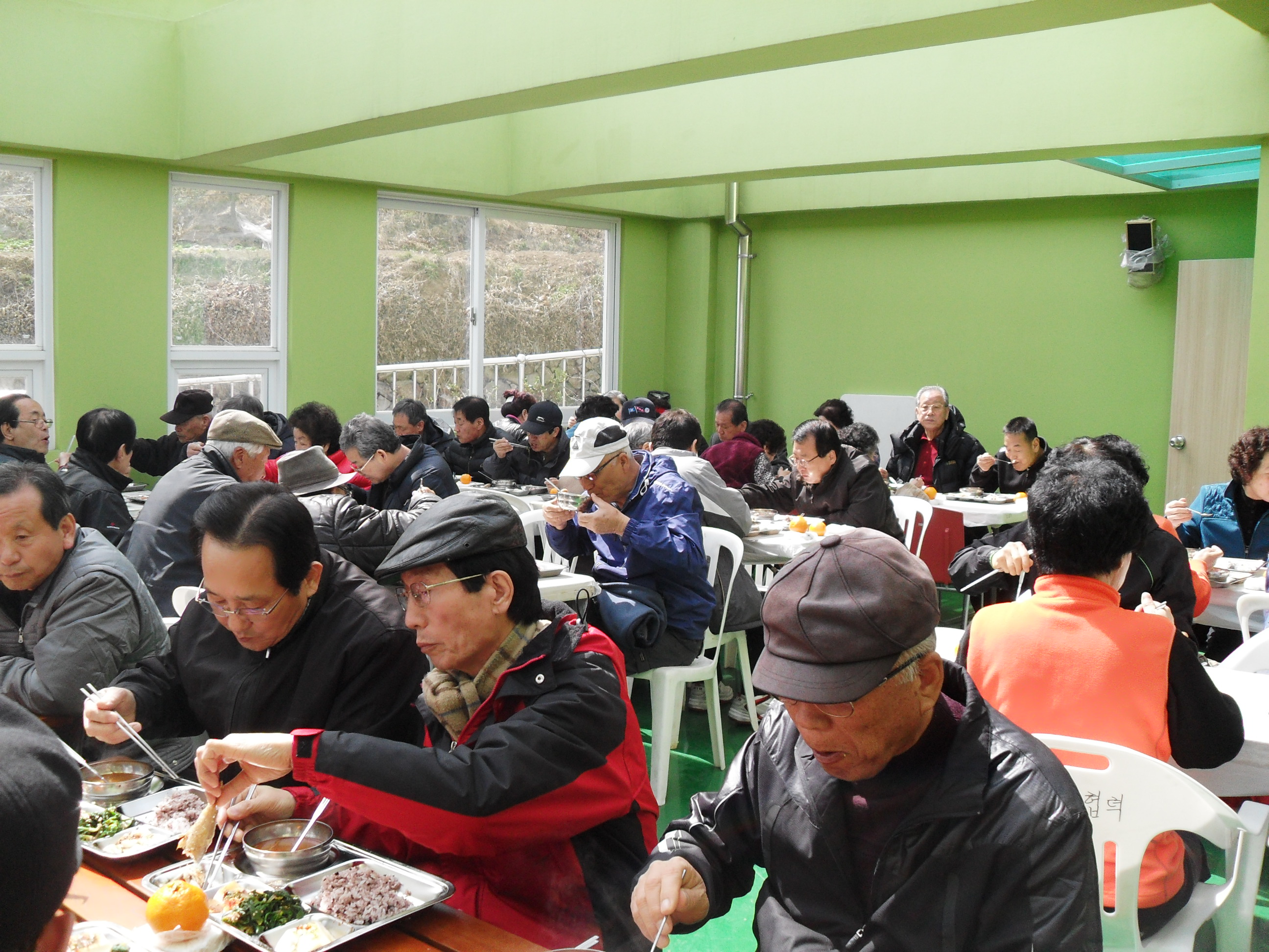 �ϳ��ǿ��� ������ ���ɳ����� ���