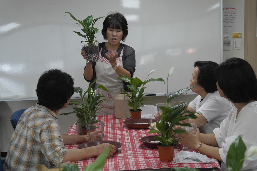 2015�� ��������Ư�� - ���� ����