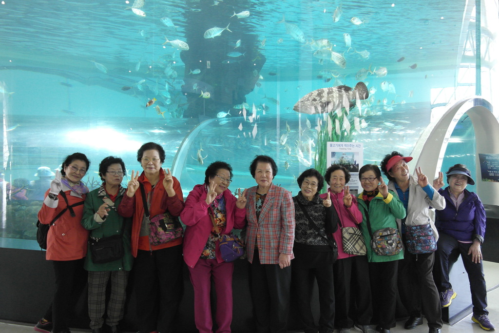 ��δ�Ȱ��ȭ���- �߿ܳ�����