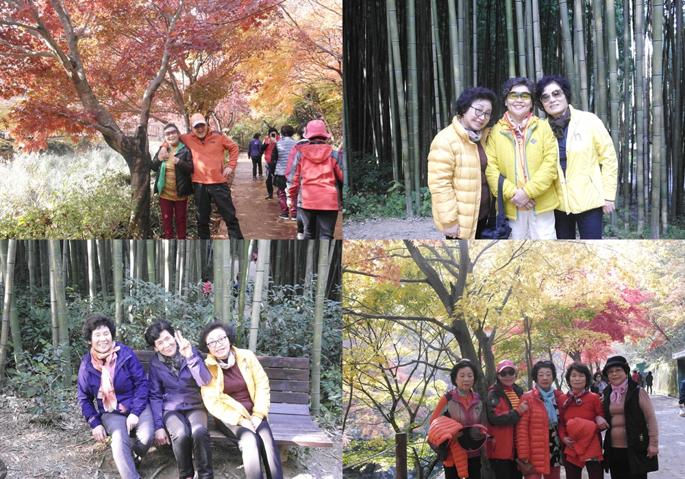 ��������� ����������